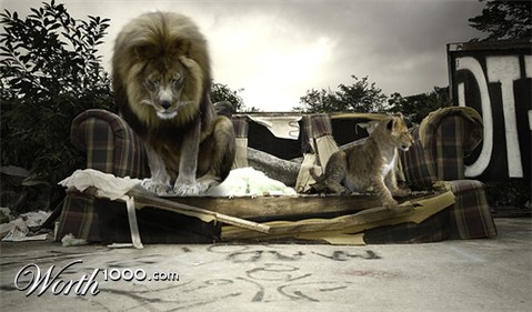 Photoshop Design by SphiPony