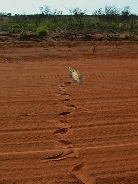 Photoshop Design by ObnInbO for DesignCrowd (Community Contests) | Design #8986573