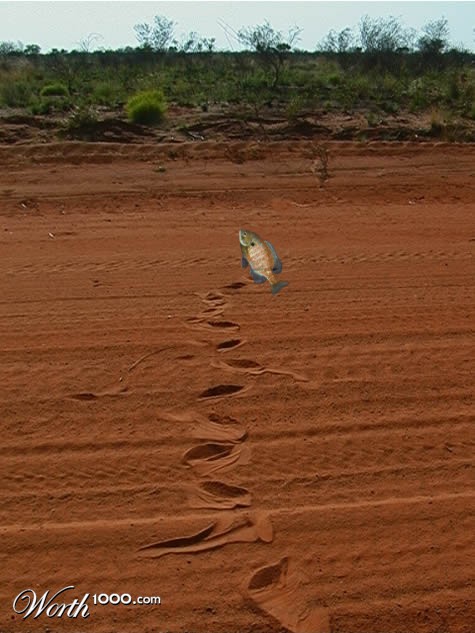 Photoshop Design by ObnInbO