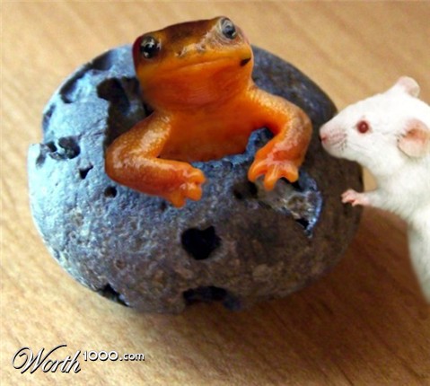 Photoshop Design by LadyHawk771