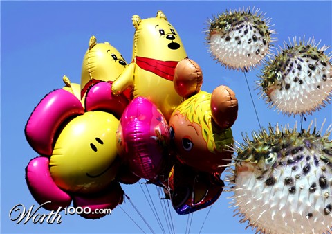 Photoshop Design by Brooms
