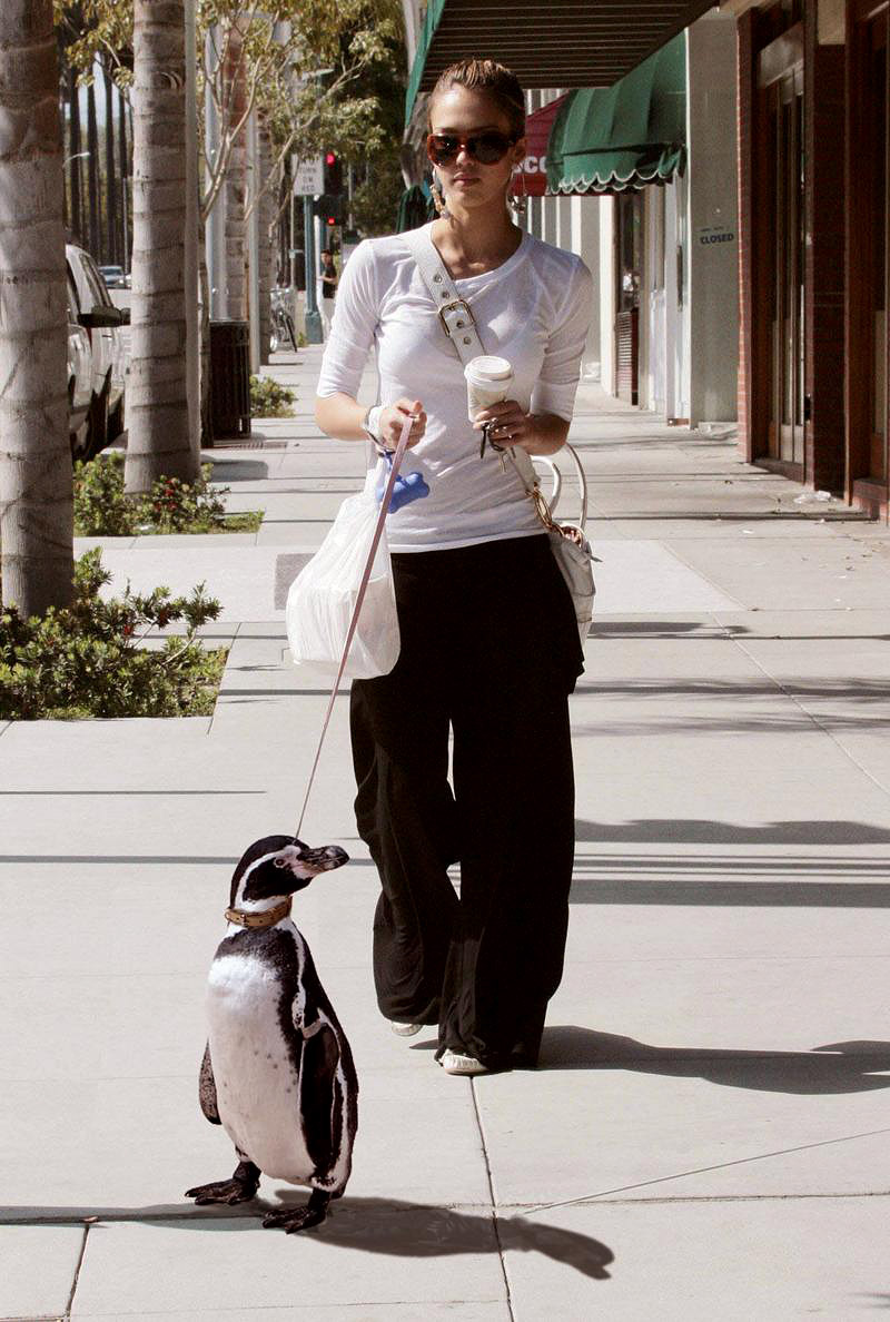 Diseño de Photoshop por Mandrak para DesignCrowd (Community Contests) | Diseño #8987082