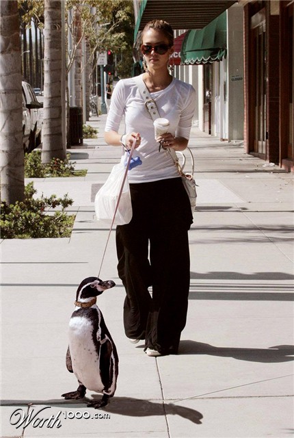 Photoshop Design by Mandrak