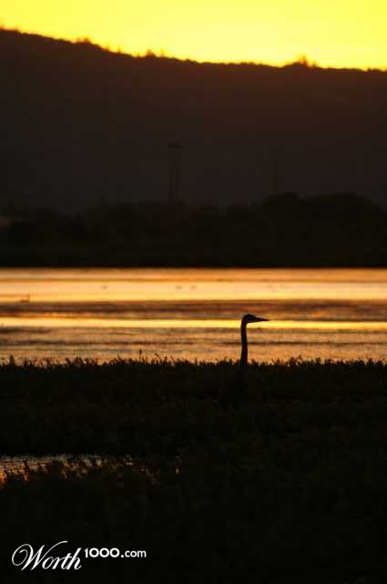 Photography by getaltered