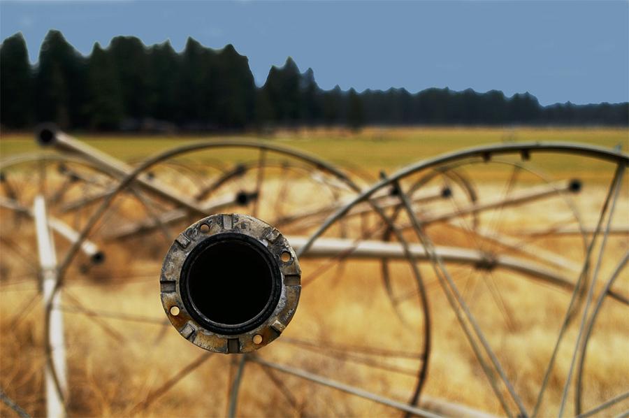 Photography by getaltered for DesignCrowd (Community Contests) | Design #8985918