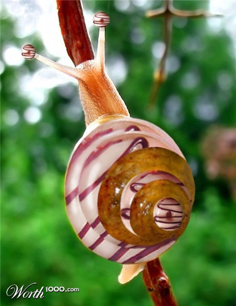 Photoshop Design by LadyHawk771