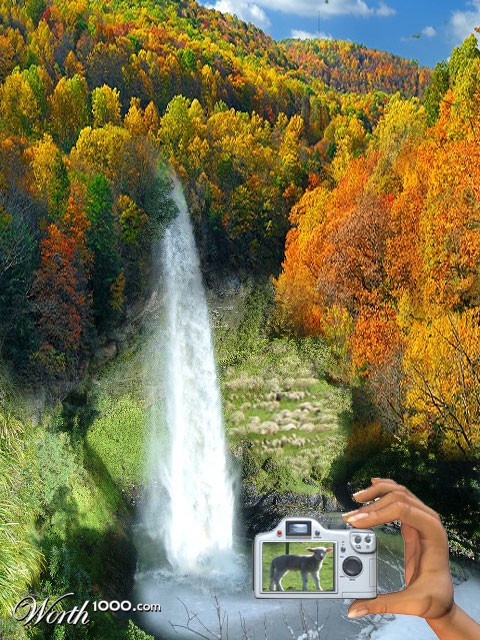 Photoshop Design by diveclass101