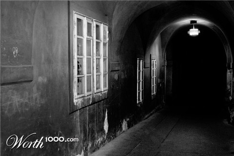 Photography by majkus