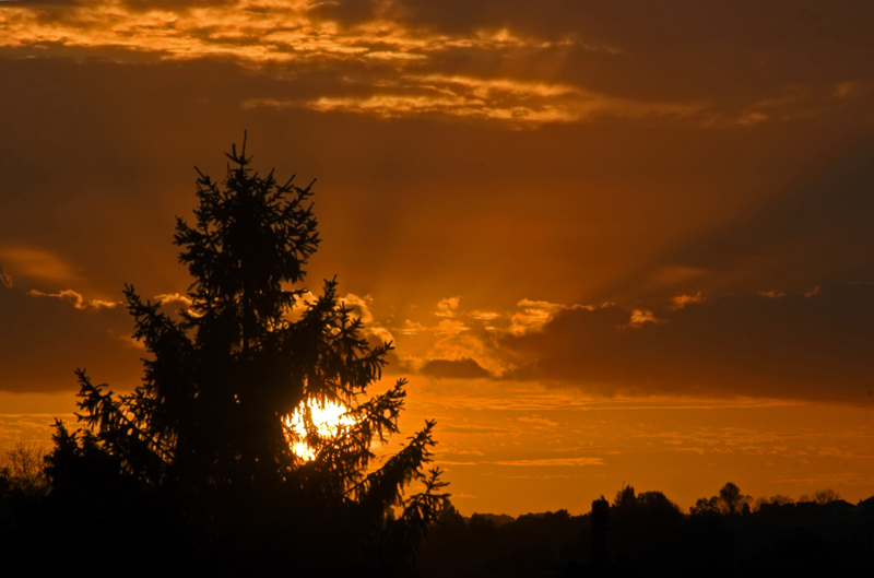 Photography by splong for DesignCrowd (Community Contests) | Design #8989424