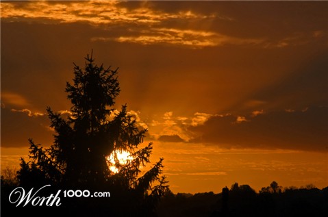 Photography by splong