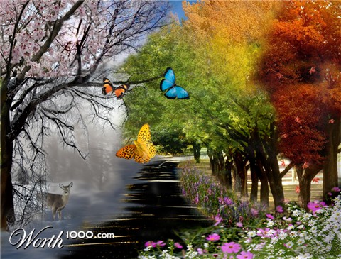 Photoshop Design by kennywineman