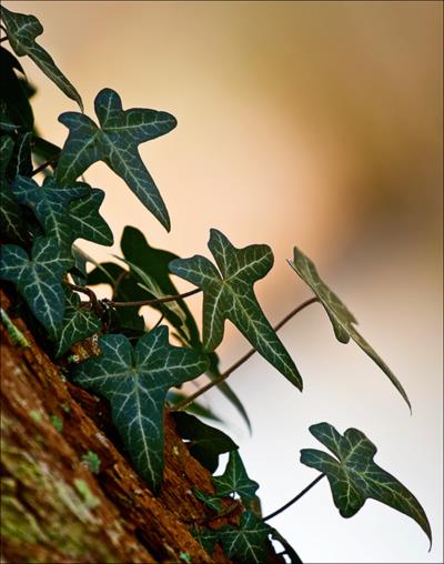 Photography by fatheroftwo