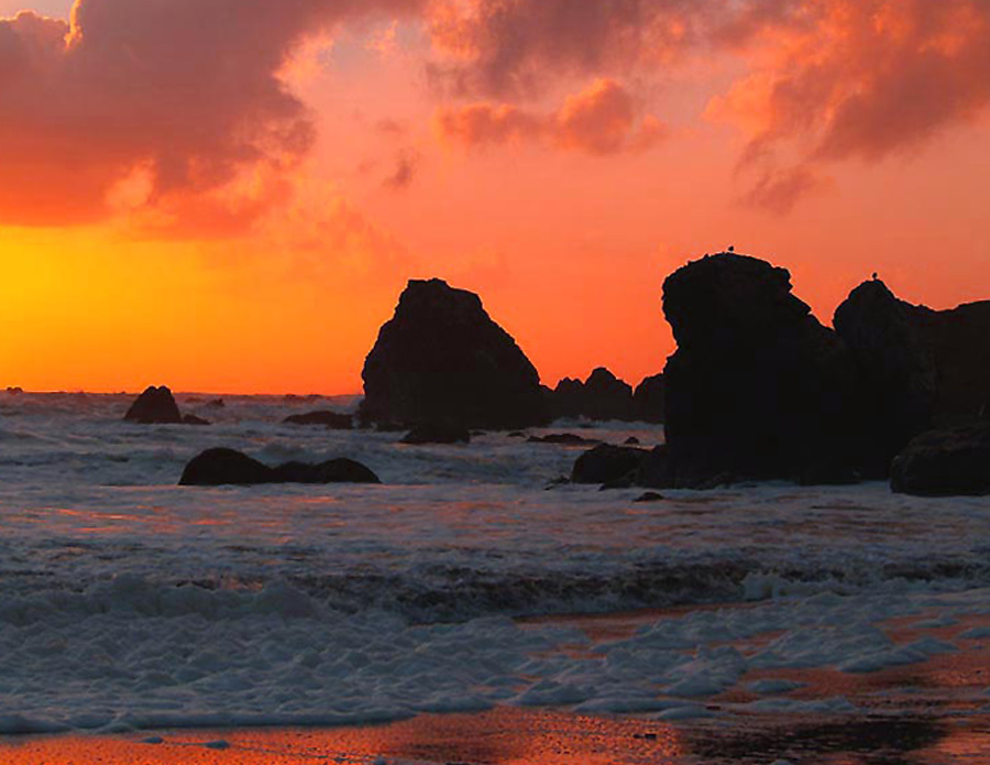 Photography by Brat68 for DesignCrowd (Community Contests) | Design #8989268