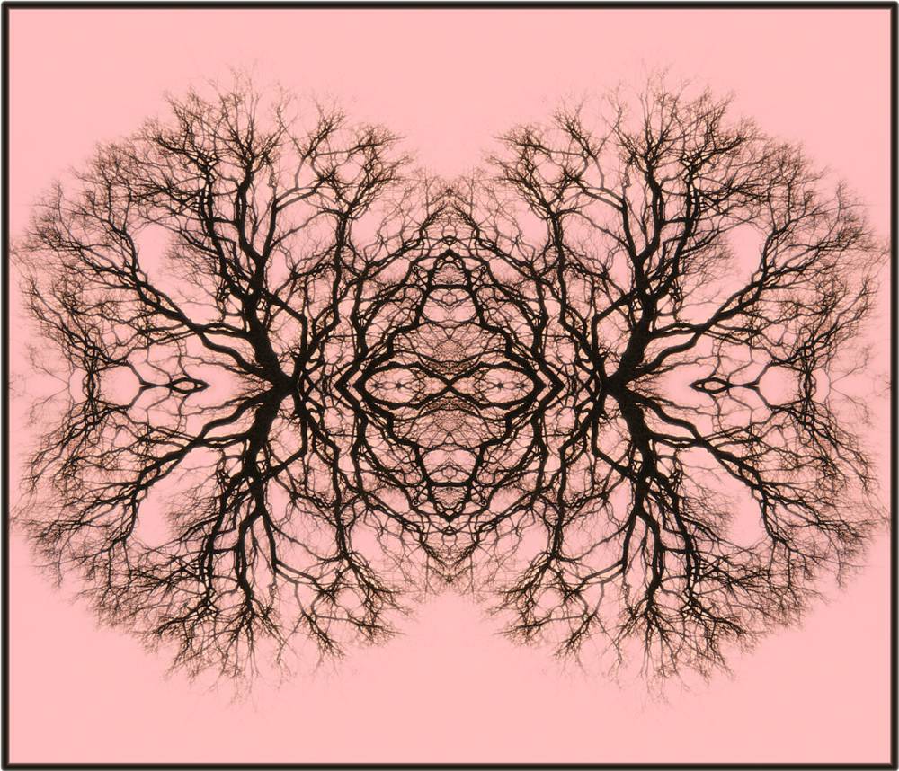 Photographie par Berilu pour DesignCrowd (Community Contests) | Design #8985939