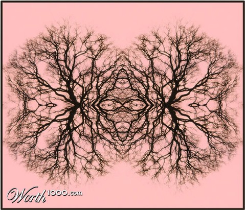 Photography by Berilu