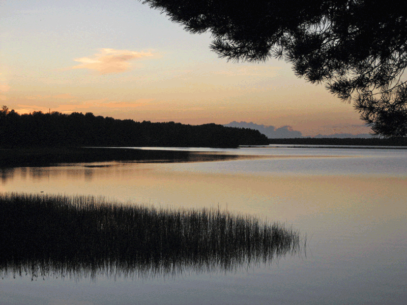 Photography by mangoslushy for DesignCrowd (Community Contests) | Design #8989119