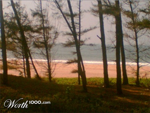 Photography by manjit69