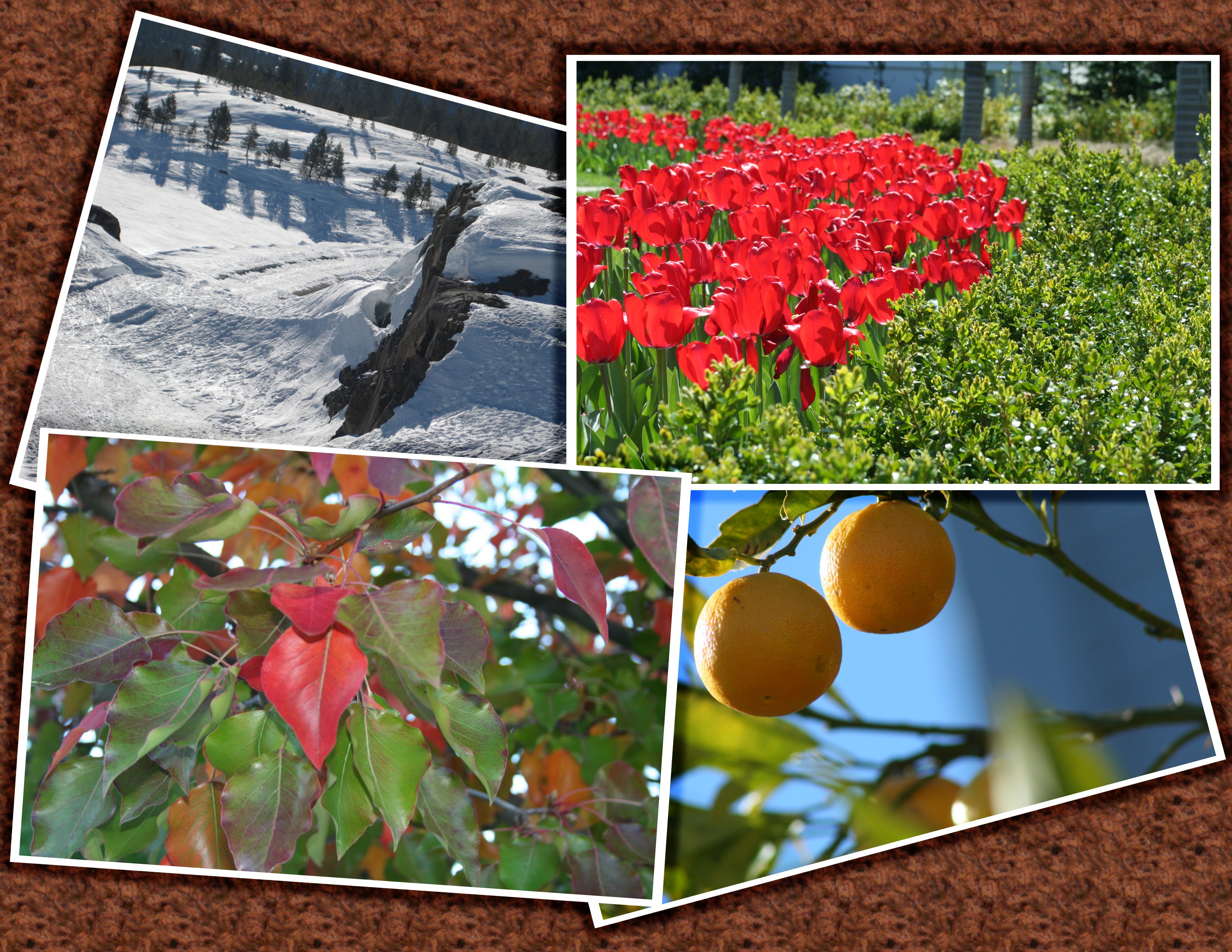 Photoshop Design by Stonee for DesignCrowd (Community Contests) | Design #8982228