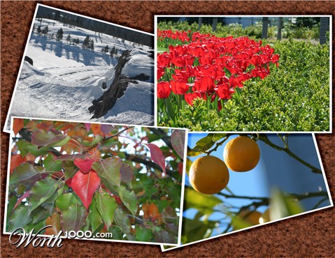 Photoshop Design by Stonee