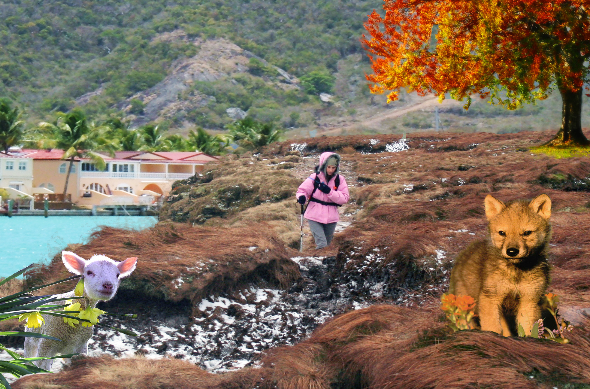 Photoshop Design by bobber1 for DesignCrowd (Community Contests) | Design #8982241