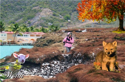 Photoshop Design by bobber1