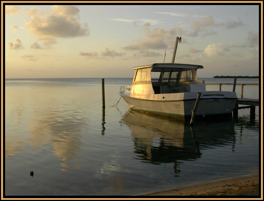 Photography by smilingface for DesignCrowd (Community Contests) | Design #8985851