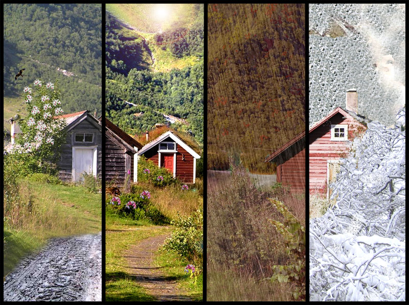Photoshop Design by pmetzga for DesignCrowd (Community Contests) | Design #8982212