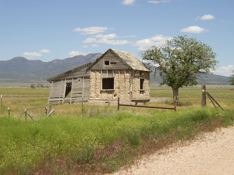 Photography by ManipUL8 for DesignCrowd (Community Contests) | Design #8985933