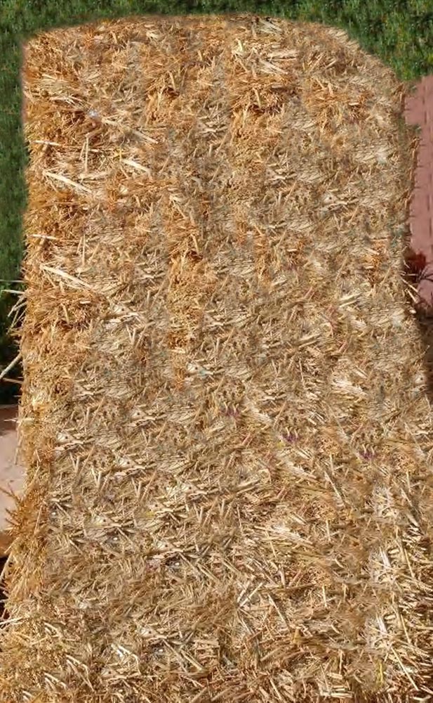 Design Photoshop par Chimmi pour DesignCrowd (Community Contests) | Design #8985430