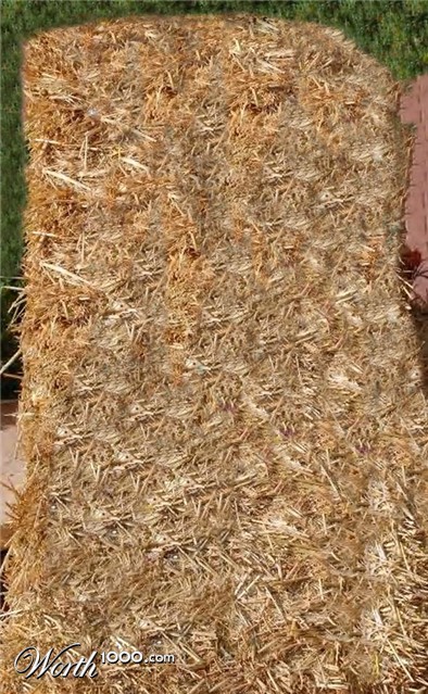 Photoshop Design by Chimmi