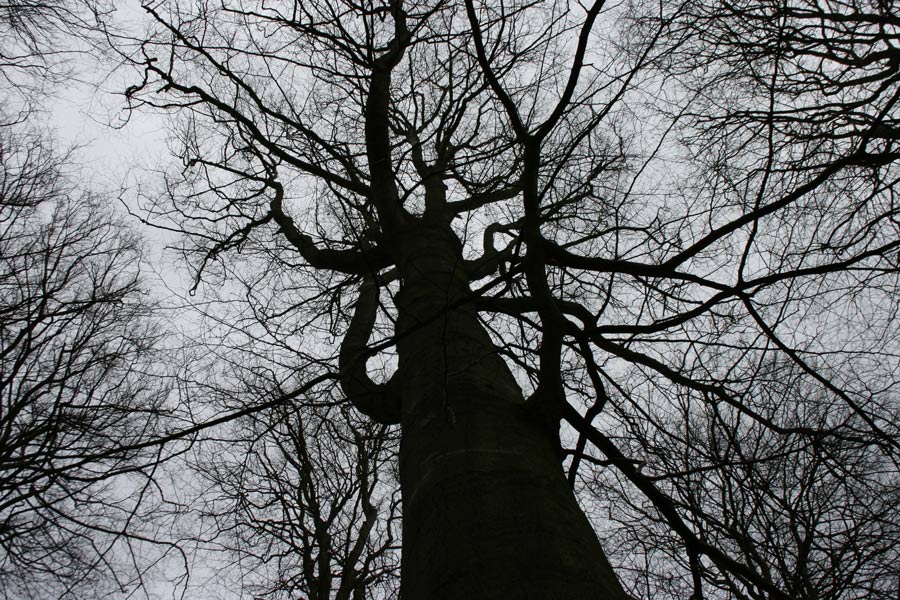 Photography by phenexus for DesignCrowd (Community Contests) | Design #8989888