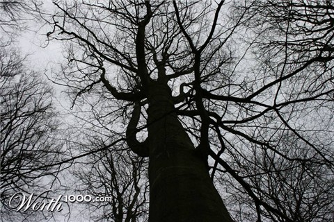 Photography by phenexus