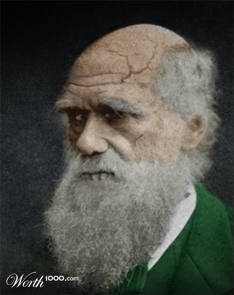 Photoshop Design by kostadin13