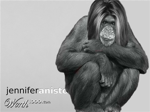 Photoshop Design by bicyclewilli