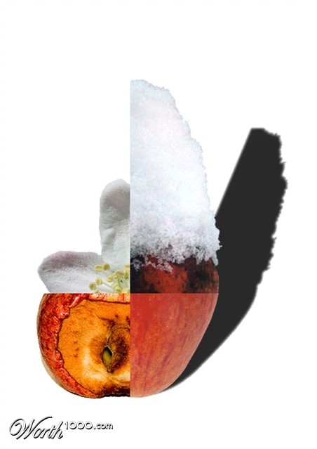 Photoshop Design by littlejo