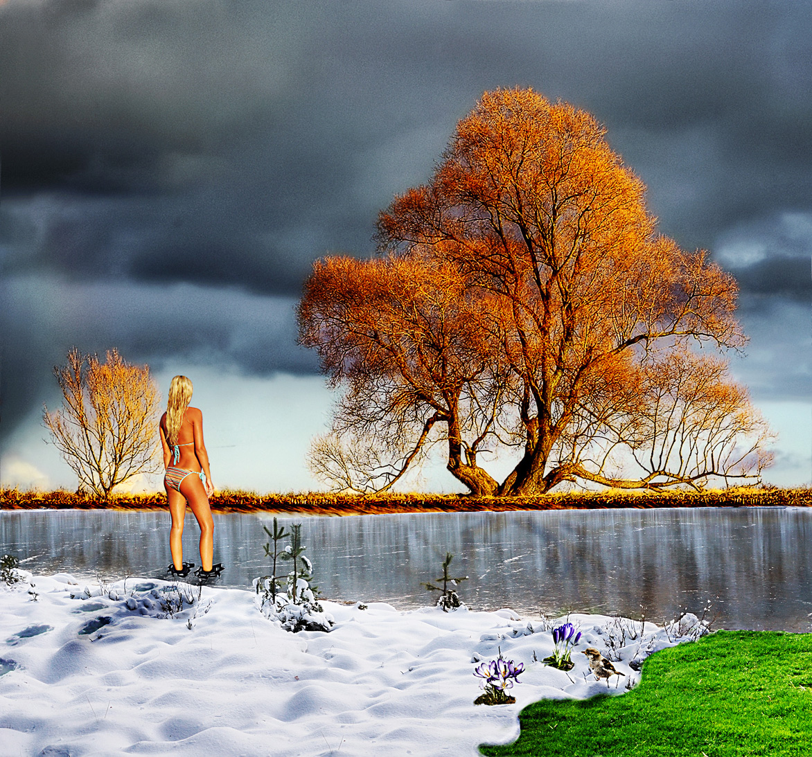 Diseño de Photoshop por Ronschk para DesignCrowd (Community Contests) | Diseño #8982288