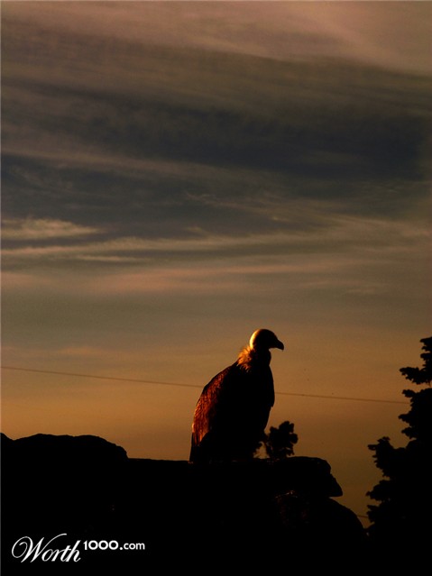 Photography by jdetes