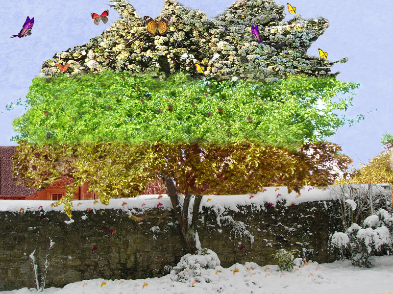 Photoshop Design by ICEBUNNY for DesignCrowd (Community Contests) | Design #8982265