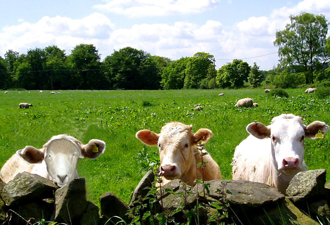 Photoshop-Design von harveyy für DesignCrowd (Community Contests) | Design #8981385