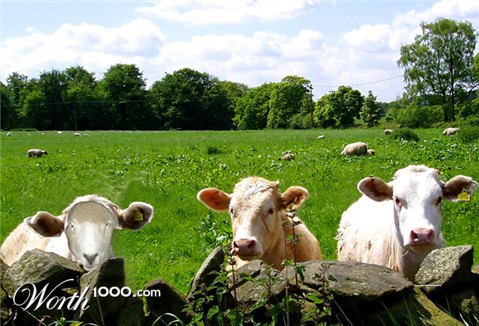 Photoshop Design by harveyy