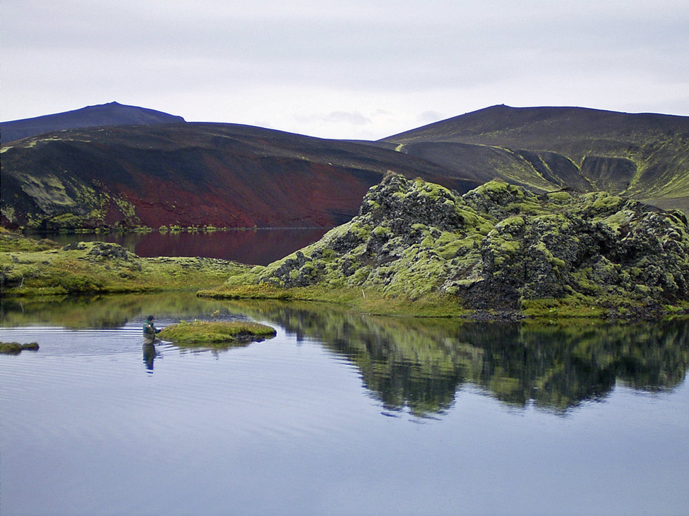 Fotografie von charizz für DesignCrowd (Community Contests) | Design #8985954