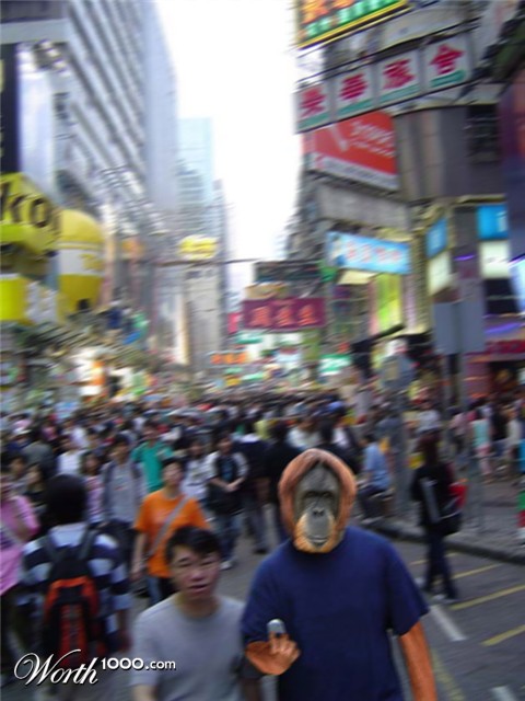 Photoshop Design by Organizized