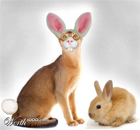 Photoshop Design by jdbeckers