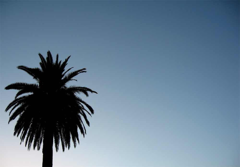 Photography by hornet83 for DesignCrowd (Community Contests) | Design #8990097