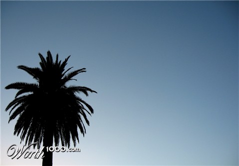 Photography by hornet83