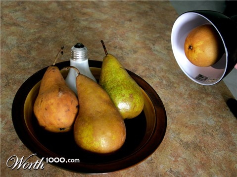 Photography by pinkfly