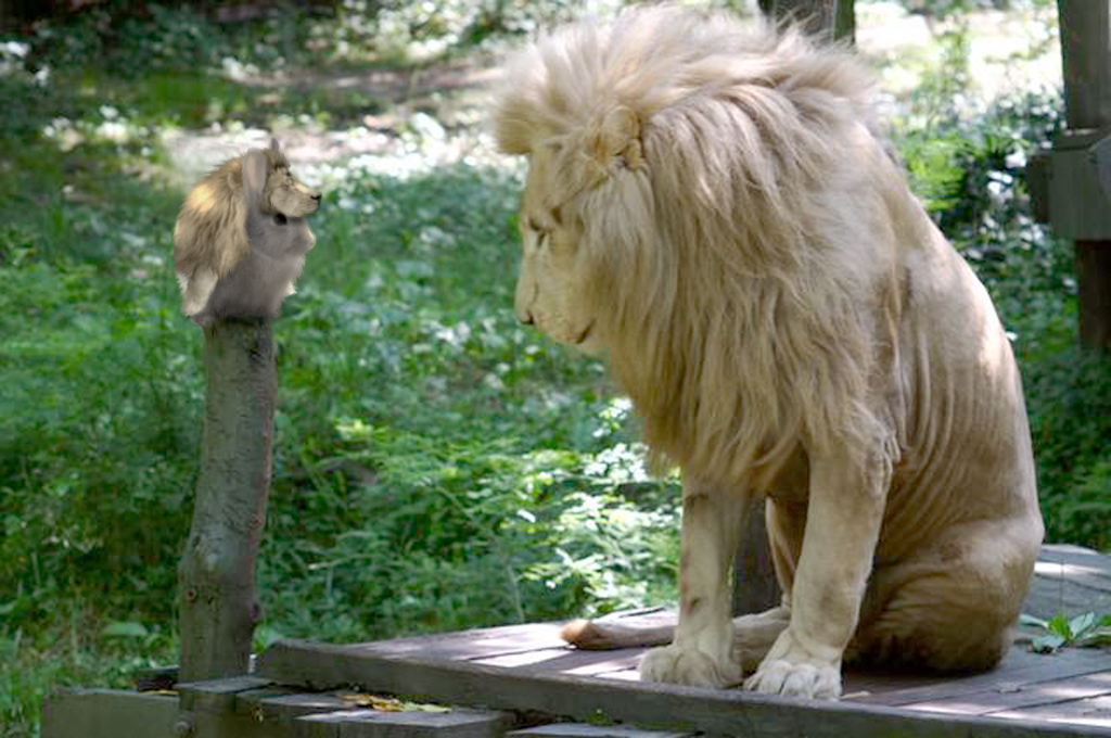 Photoshop Design by MrMArs for DesignCrowd (Community Contests) | Design #8981428