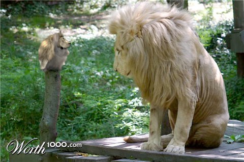 Photoshop Design by MrMArs