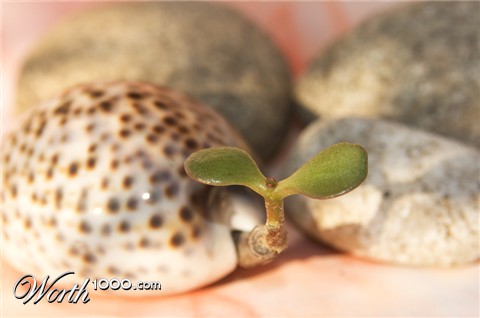 Photography by PabloValente