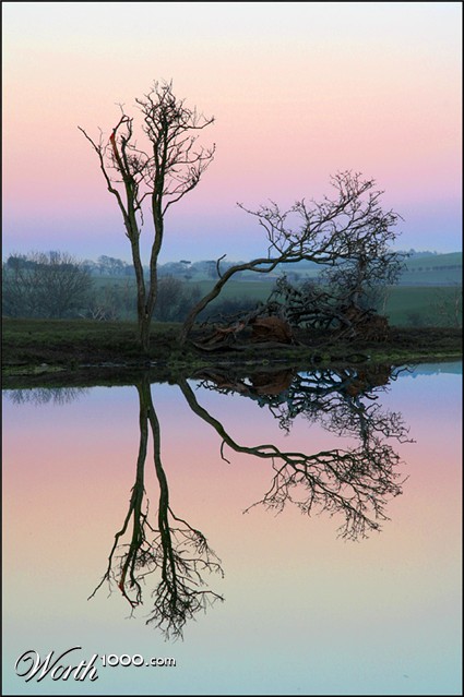 Photography by SigloV